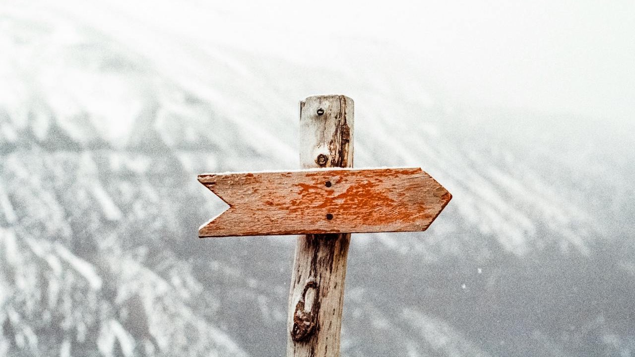 The Role of Technology in Career Guidance for Young People
